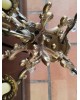 Lustre ancien 4 branches en bronze et pampilles en verre