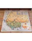 Carte Scolaire ancienne AFRIQUE OCCIDENTALE N°25bis/26